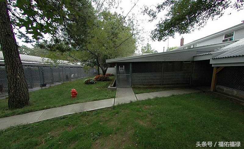 优良犬舍,中国优秀犬舍