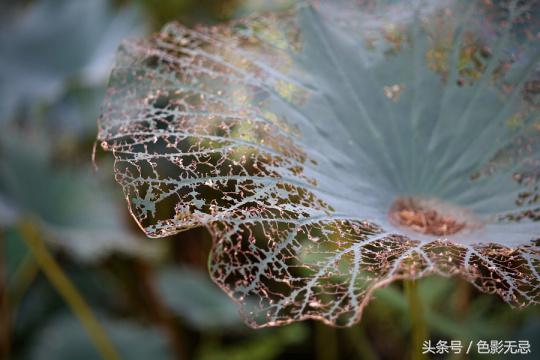 索尼a7ii相机教程视频,索尼a7ii能换长焦镜头吗