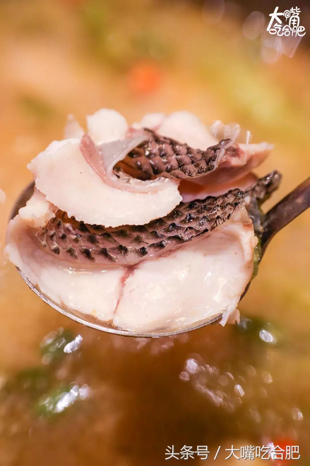 合肥自助鱼火锅,合肥5个火锅店