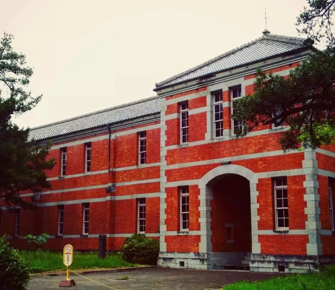 蛙儿子的旅行,蛙儿子旅行攻略