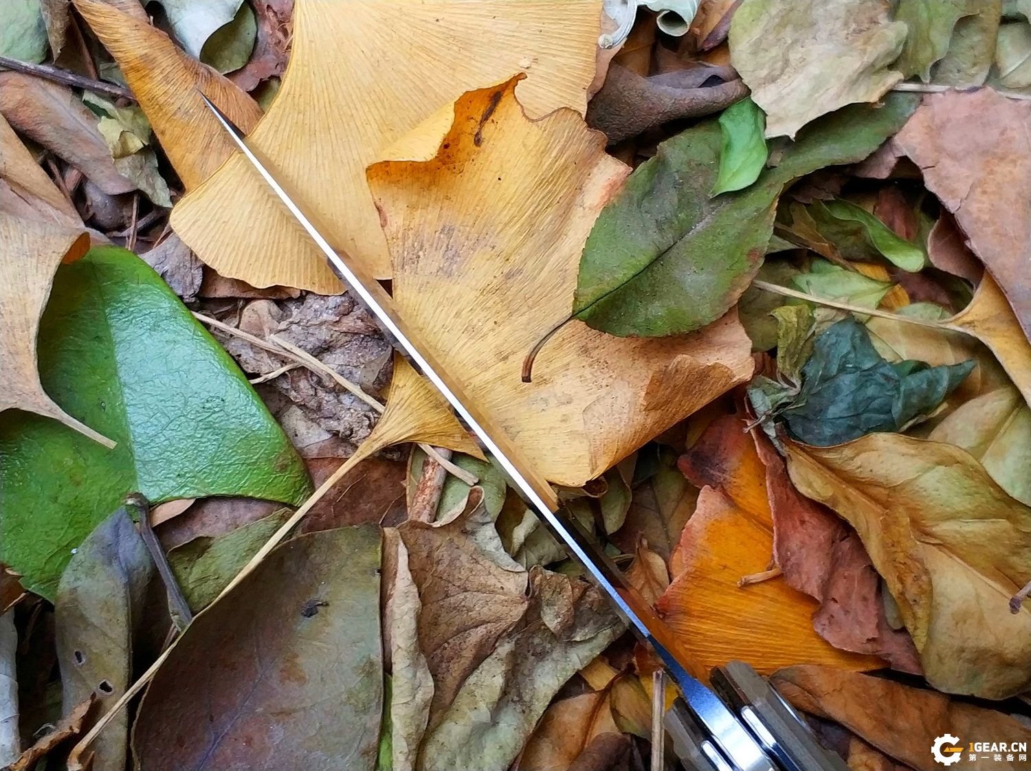 有没有一款双刃刀具，既是*刀折**，又能兼具捅刺和切削的优点呢？