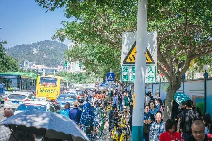 走心厦门自由行攻略超详细,厦门自由行攻略最详细