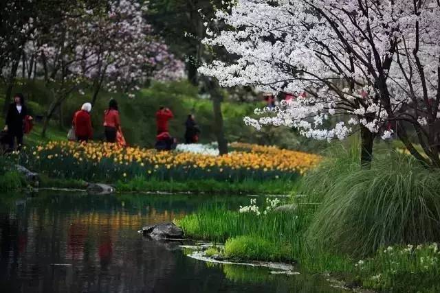 贵阳高铁旅游攻略一日游最佳路线,从贵阳出发高铁直达的景点