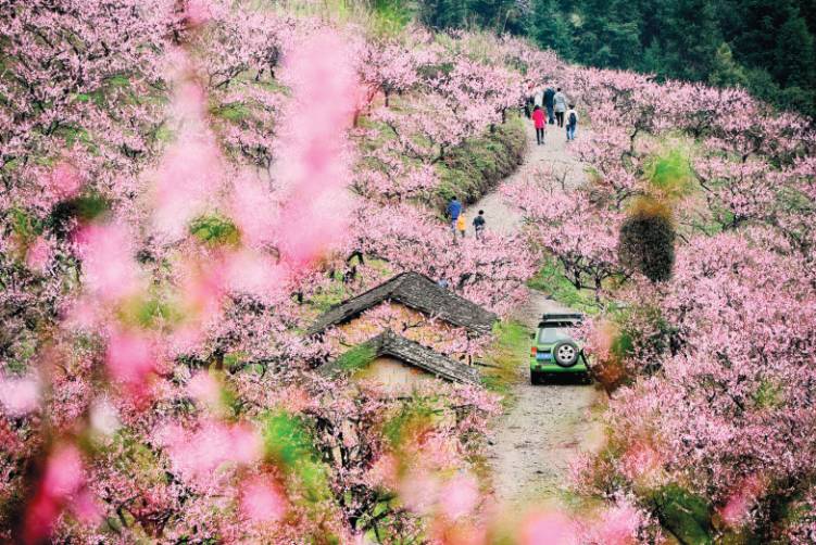 浏阳火爆的地方,浏阳今日旅游情况