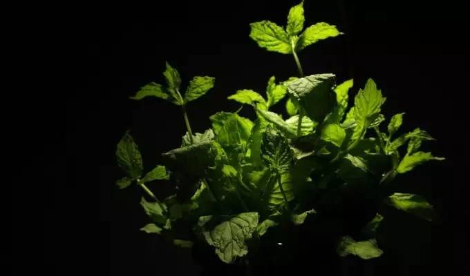 风水上卫生间应该注意什么,风水中如何消除湿气