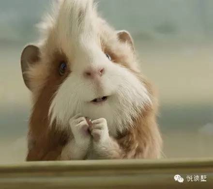 宝宝护臀膏可以擦痱子吗,痱子粉可以去尿布疹吗