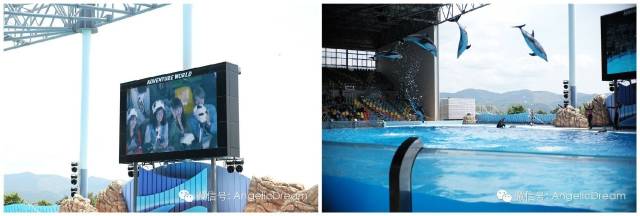 一个中国妈妈带着孩子去了美国,带孩子去日本攻略