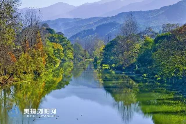 浏阳旅游景区推荐,浏阳市森林生态观光园