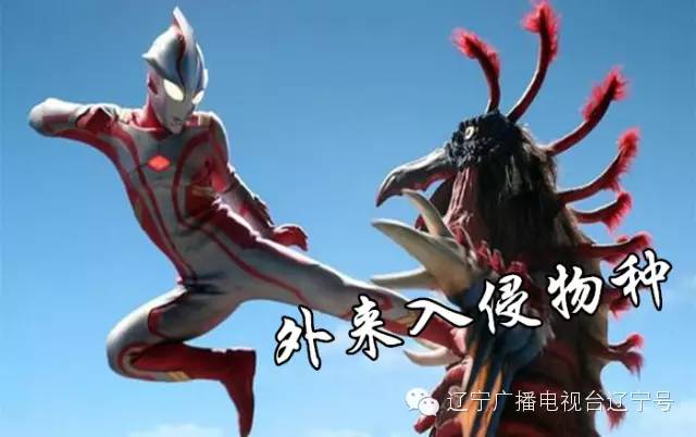 出境旅游最多可带多少现金,五一愉快出境游这些规矩不能忘