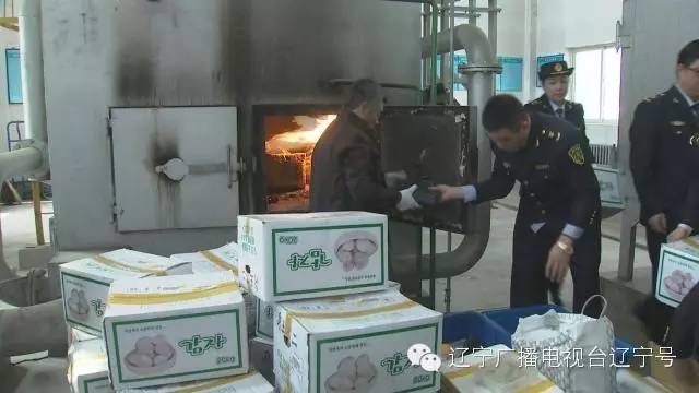 出境旅游最多可带多少现金,五一愉快出境游这些规矩不能忘