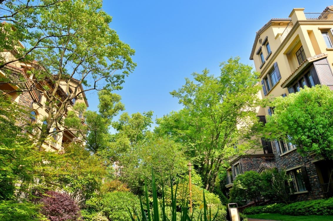 有个处女座工科男，想把《LonlyPlanet》搬到家门口，杭州人用5年才理解了他