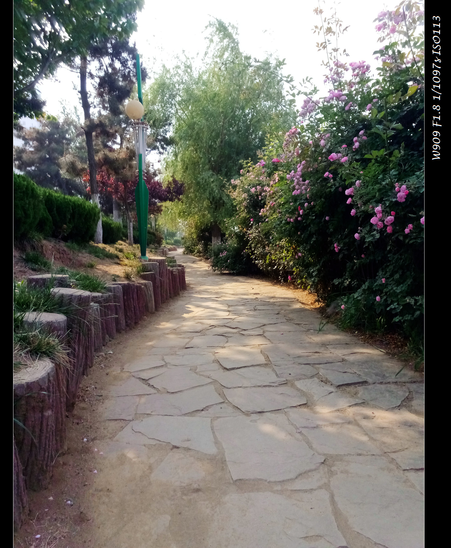 金立天鉴w909值得入手吗,金立天鉴w909翻盖手机