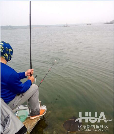 化氏速散颗粒适合用什么饵料钓,化氏不空军饵料和蓝鲫哪个好用