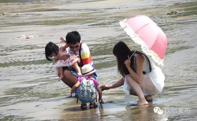 钦州三娘湾免费门票,钦州三娘湾景区现在还收费吗