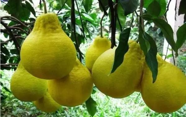 不要听说郴州怎样，进来听听郴州怎么说。