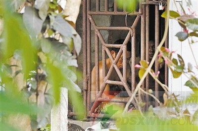 美联社实时统计,美联社数字解读