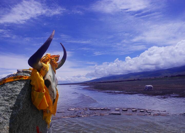 东海南海西海北海分别是哪里,有东海市吗