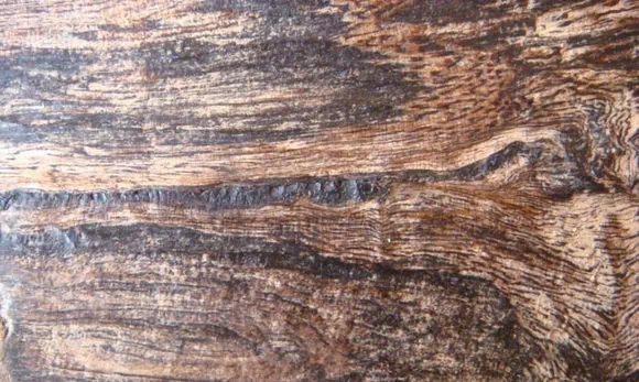 带你了解假沉香是怎么做的,假沉香制作视频