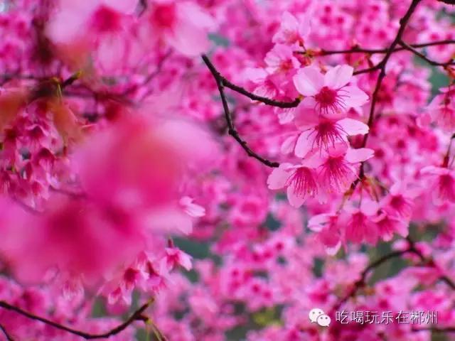 不要听说郴州怎样，进来听听郴州怎么说。