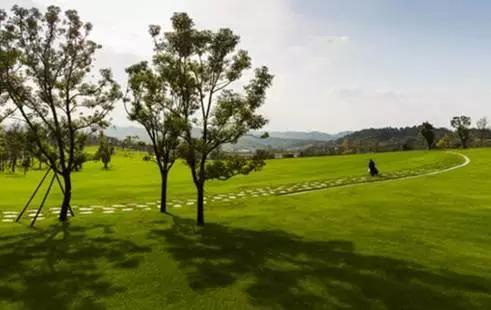 如果《欢乐颂》的故事发生在重庆，她们会怎么撕逼？