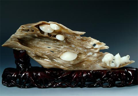 冰肌玉骨凌寒留香梅花图片,冰肌玉骨风姿绰约