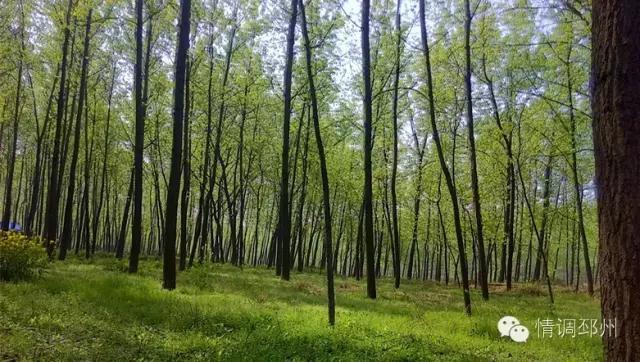奔跑在路上看风景,奔跑着看风景视频