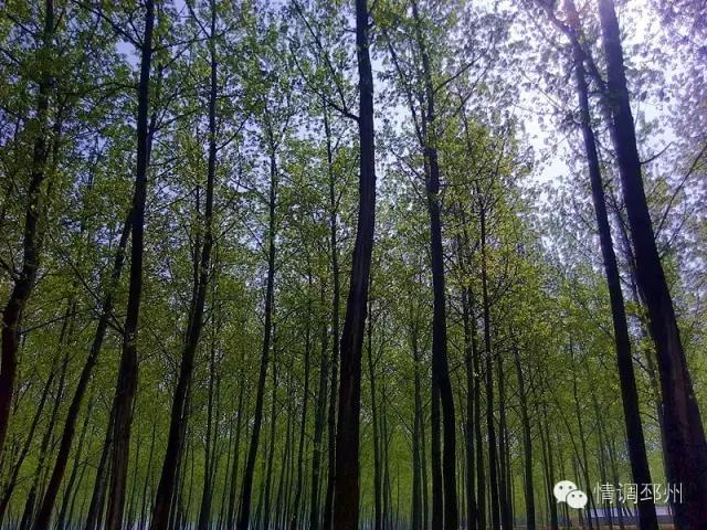 奔跑在路上看风景,奔跑着看风景视频