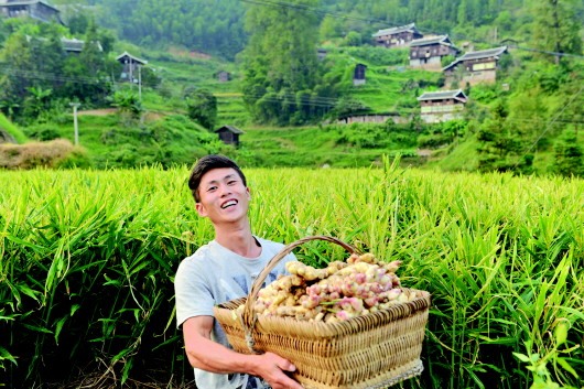 返乡农民工电商创业,贵州农村电商扶持