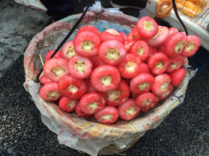 鼓浪屿自驾游全攻略,厦门鼓浪屿登岛全攻略