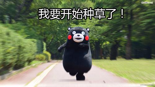 男士气质双肩背包,男生夏日训练背包