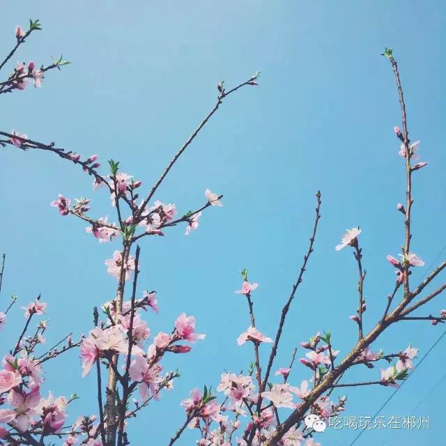 不要听说郴州怎样，进来听听郴州怎么说。