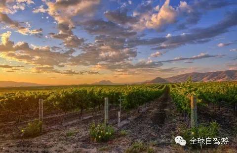 马耳他人NB成这样，不去自驾一圈，你都不知道！