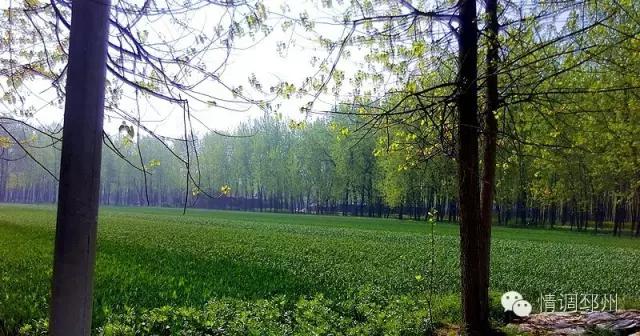 奔跑在路上看风景,奔跑着看风景视频