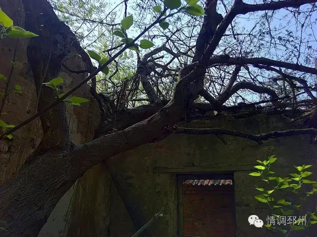 奔跑在路上看风景,奔跑着看风景视频