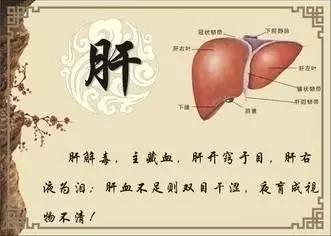 湿热蕴结伤肝伤胆，中医辨证标本兼顾