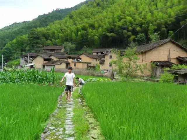 忆龙泉怎么样,忆龙泉儿童