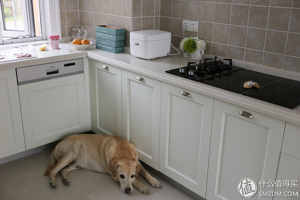 象印哪款电饭煲性价比高,小米米家喷墨一体机评测