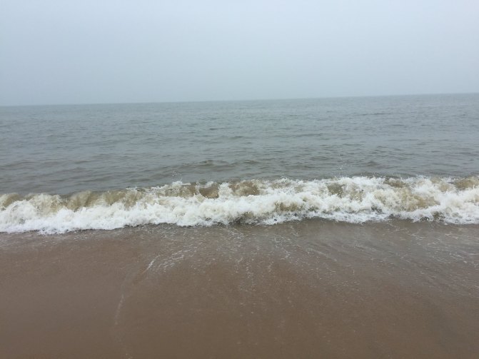 鼓浪屿自驾游全攻略,厦门鼓浪屿登岛全攻略