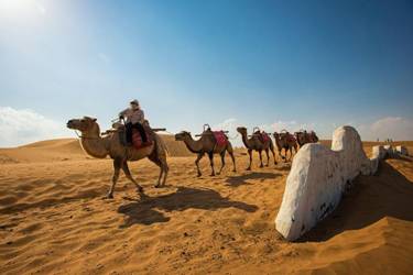 野马汽车，中美行者自驾中卫