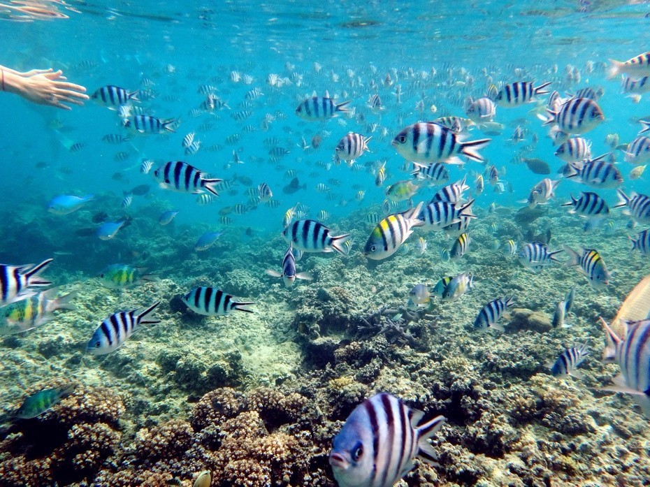 八个绝佳的潜水圣地建议收藏哦,全球最适合潜水的城市