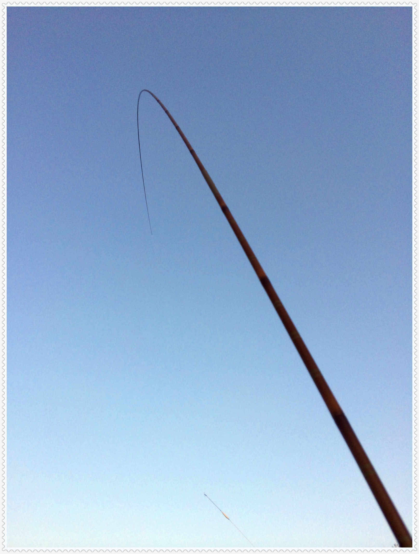 畅享春色京北水库激战黄金野鲤