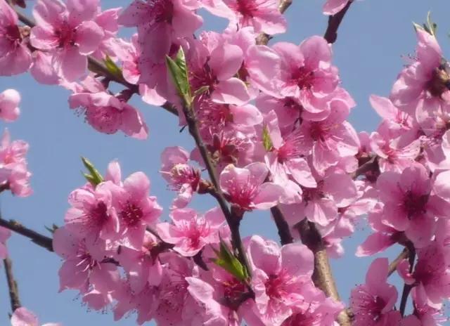 不要听说郴州怎样，进来听听郴州怎么说。