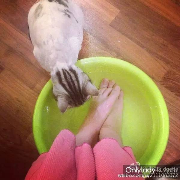 关关早睡早起,关关睡不醒变身