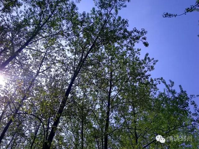 奔跑在路上看风景,奔跑着看风景视频