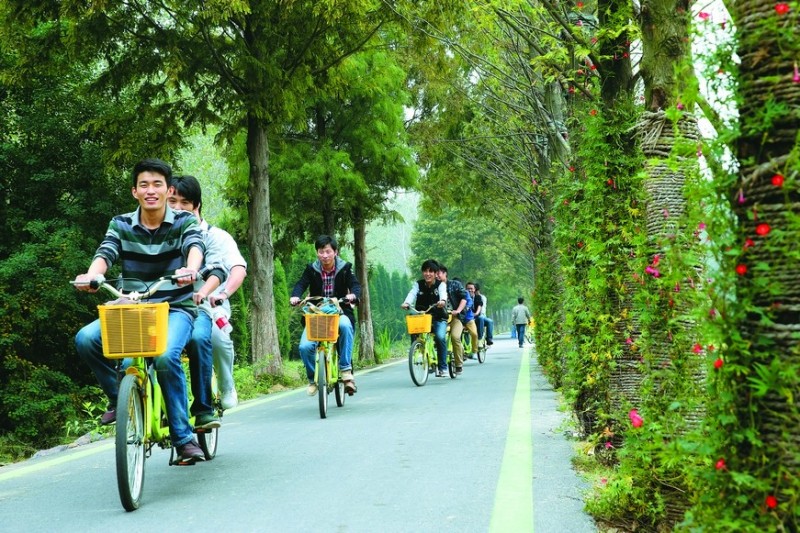 合肥逛吃的地方推荐,合肥逛吃攻略来了