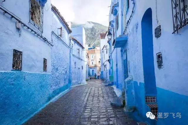 LP年度最佳三毛最爱北非后花园摩洛哥免签啦！