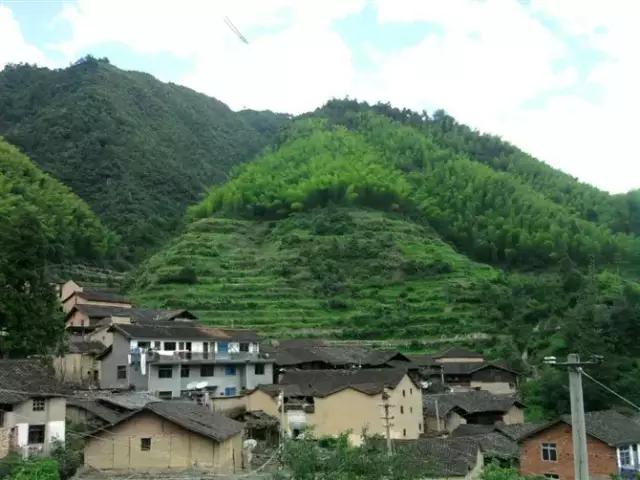 忆龙泉怎么样,忆龙泉儿童