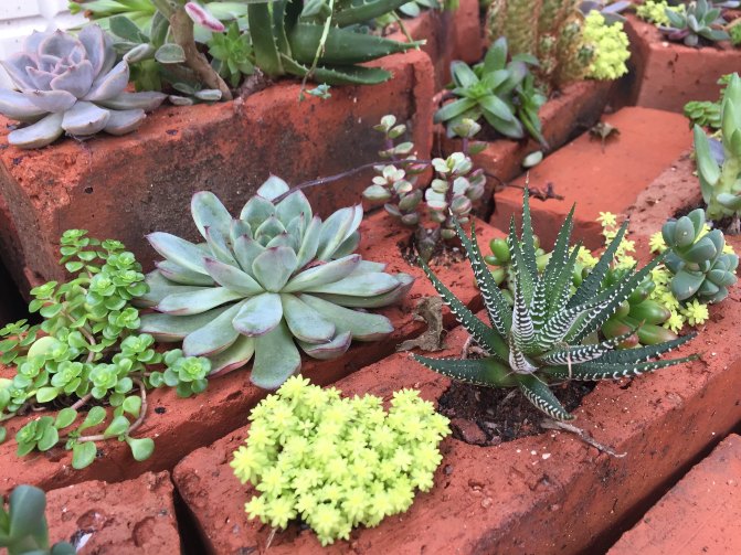 鼓浪屿自驾游全攻略,厦门鼓浪屿登岛全攻略