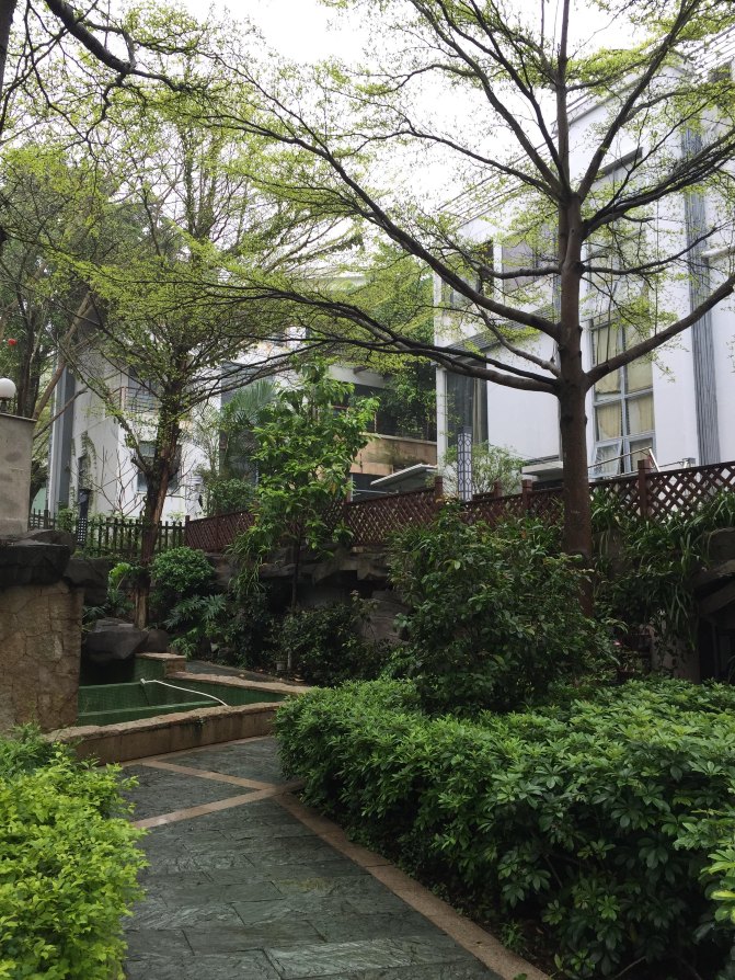 鼓浪屿自驾游全攻略,厦门鼓浪屿登岛全攻略