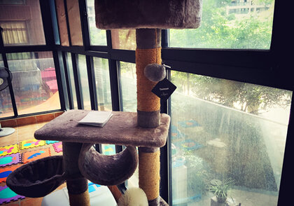 不仅仅是香薰，更是艺术品—日本aSigner香薰片品鉴